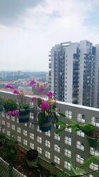 Sky Habitat (D20), Condominium #608059211